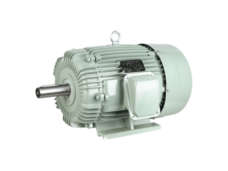 YT series three-phase asynchronous motor (Taiwan style)